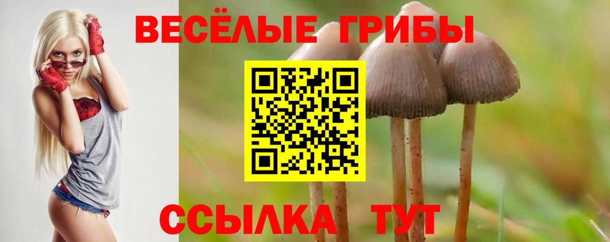 Псилоцибиновые грибы GOLDEN TEACHER Котлас